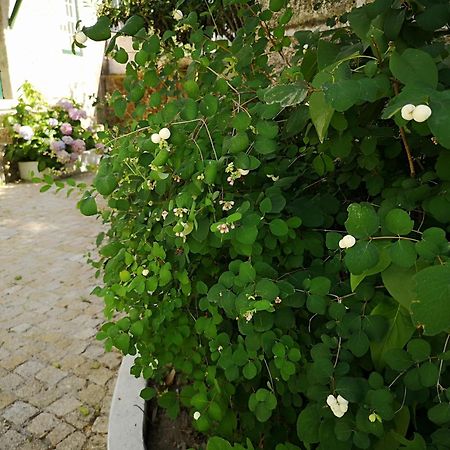 Refugio De Calheiros Βίλα Covilhã Εξωτερικό φωτογραφία