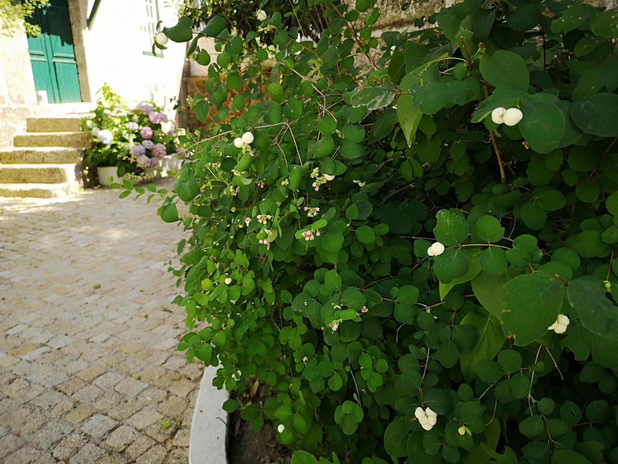 Refugio De Calheiros Βίλα Covilhã Εξωτερικό φωτογραφία