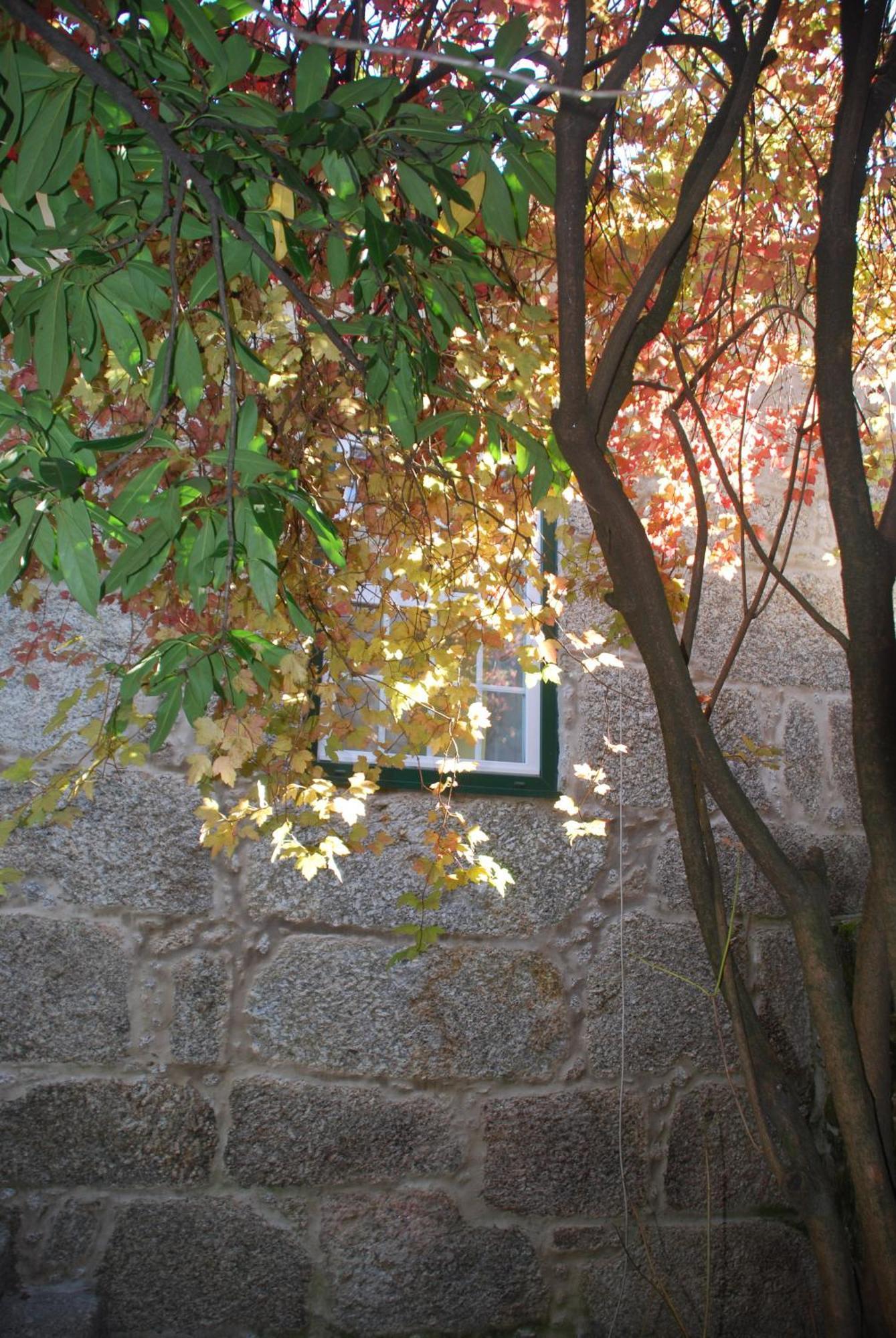 Refugio De Calheiros Βίλα Covilhã Εξωτερικό φωτογραφία